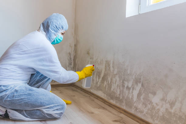 Licensed Mold Removal service in Columbia, MD - WQB Mold Removal