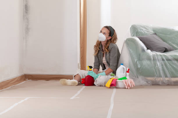 Reliable Mold Removal contractor in Columbia, MD by WQB Mold Removal